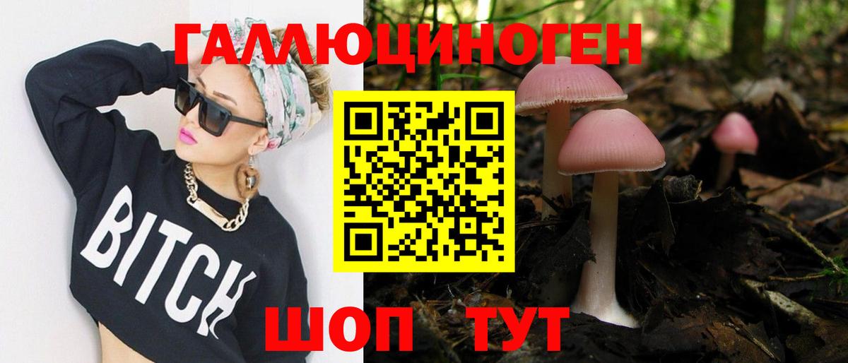 Тамбов  Галлюциногенные грибы Magic Shrooms  Псилоцибиновые грибы мицелий  Вход с VPN 